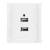 USB socket panel specifications four USB