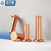 Guwanji copper flat head solid rivet flat cap copper nail GB109 hand hammered rivet national standard fasteners M2.5x5 (200 pieces)