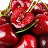 Detective Xianxian imported large cherries from Chile, next-day delivery to multiple places, fresh fruit optional gift box, 750g (net weight), hand-selected fruit J 26-28mm, 2kg box, gift box