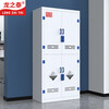 Longzhitai anti-corrosion cabinet pp acid-base cabinet chemical cabinet strong acid-base item cabinet laboratory reagent cabinet PP medicine cabinet upper door and lower door