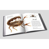 National Geographic Complete Book of Wonderful Insects