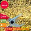 OEM pruning shears Alice 120DX scissors pruning shears fruit tree scissors Alice ARS120DX