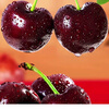 Fresh cherries, big cherries, black pearls, whole box of fruits for pregnant women, 3 pounds