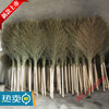 Best quality custom-made sanitation large broom, bamboo street sweeping, bamboo outdoor enlarged and widened sweeping yard broom, No. 5 bamboo leaf seedlings (delivered by the pound)