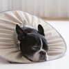 Tangqi pet Elizabethan sterilization care collar cat and dog grooming collar anti-licking and biting small dog headgear Coco milk L (suitable for 10-15 pounds)
