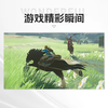 Nintendo (Nintendo) The Legend of Zelda Breath of the Wild Switch game cartridge Hong Kong version Chinese