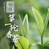 Yinghong No. 9 tea 2024 first spring tea spring Yinghong No. 9 factory direct sale one piece free shipping random delivery