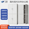 Yuwei file cabinet, iron cabinet, steel office cabinet, financial file display cabinet, storage cabinet, double-section basic model