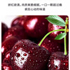 Fresh cherries, big cherries, black pearls, whole box of fruits for pregnant women, 3 pounds