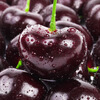 Fresh cherries, big cherries, black pearls, whole box of fruits for pregnant women, 3 pounds
