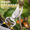 Deli pruning scissors, garden flower pruning branch scissors, fruit tree scissors, thick flower scissors, gardening scissors tools, high carbon steel flower and tree scissors DL2778