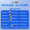 Jiangzhong Probiotics 1.2 trillion live bacteria for adults, children, pregnant women, middle-aged and elderly people, gastrointestinal conditioning, 1 month cycle pack