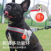 Huanpet.com dog leash, dog leash, dog harness, dog collar, cat, cat walking, small, large dog, cat leash, pet