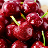 Jingxiansheng Chilean Cherries J Grade 5kg Gift Box with Fruit Diameter 26mm + Fresh Fruit Straight from the Source