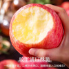 Jingdida Apple Yantai Apple Qixia Red Fuji Apple Fresh Fruit New Year's Goods 4.5 Jin Single Fruit 75mm + Straight from the Source