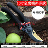 Dongjiu branch cutting scissors, fruit tree pruning shears, garden thick branch scissors for cutting branches, floral pruning shears for picking fruits, pruning shears with handle sheaths