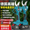 Jiang Zhiai electric pruning shears, thick branch shears, fruit tree shears, multi-functional lithium-ion scissors, portable gardening pruning shears, special pruning shears for fruit farmers-5.0 standard model with five batteries and one battery + original blade
