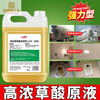 Oxalic acid cleaner toilet urine scale tile powerful cleaning agent high concentration solution industrial cement alkali removal wall 10 pounds of oxalic acid + watering can + gloves