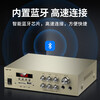 SAST AV108 home KTV amplifier Bluetooth professional high-power home theater karaoke amplifier AV108 gold