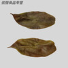 Weiting black and white tea 500g Sichuan Shifang specialty grade Mingqian ancient tree white tender leaves bulk hot pot herbal tea 250g