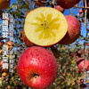 Jingdida Sichuan Daliangshan Ugly Apple, net weight 8 pounds, single fruit 85mm+, fresh fresh fruits shipped directly from the source, free shipping
