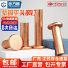 Guwanji copper flat head solid rivet flat cap copper nail GB109 hand hammered rivet national standard fasteners M2.5x5 (200 pieces)