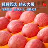 Jingdida Apple Yantai Apple Qixia Red Fuji Apple Fresh Fruit New Year's Goods 4.5 Jin Single Fruit 75mm + Straight from the Source