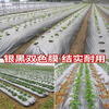 Silver and black two-color mulch film, new material, thickened insect-proof reflective mulch film covering weeding film, thermal insulation agricultural mulch film, silver and black 10 pounds 1.2 silk thick 1 meter wide 300 meters long