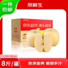 Beijing Fresh Shandong Cream Fuji Apple, net weight 8 pounds, single fruit 80-85mm, fresh fruit, direct shipping from the source, free shipping