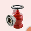 Zhongke Shenlong fire valve SN65 indoor plug flushing plug pipe switch W pressure reducing and stabilizing plug 2.5 inch fire hydrant head 2 inch faucet 1.6mpa SNW65-I pressure reducing and stabilizing plug