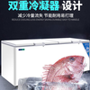 Baili (BAILI) Freezer 500 liters or more large freezer commercial ultra-low temperature freezer - 40 degrees large capacity horizontal freezer seafood cabinet large deep-freezing quick freezing 520 liters low temperature -40 BD-40T520