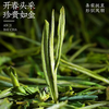 Chen Yifan rare white tea tea green tea Anji Baiye No. 1 tea tree fresh leaves and buds rare white tea 2 cans total 100g