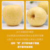 Joy Tree Shandong Golden Venus Apple Freckled Apple 3kg 8-10 pieces gift box fresh fruit