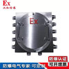 Customized explosion-proof distribution box, lighting, power inspection box, instrument switch, electric control box, aluminum alloy empty box, frequency conversion control cabinet. Explosion-proof customized configuration is required.