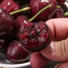 Jingxiansheng New Zealand air-shipped cherries 2J grade 4 catties boutique gift box, fruit diameter 28-30mm, straight from the source