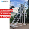 Climbing ladder movable platform warehouse loading tally climbing vehicle supermarket warehouse thickened wheeled pick-up ladder platform to the ground 3.0 meters gray white
