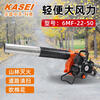 6MF-22-50 hair dryer portable wind fire extinguisher high power forest fire blower Huasheng 6MF-22-50 portable wind fire extinguisher