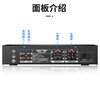 SAST AV295 home fixed resistance KTV power amplifier Bluetooth professional high power home theater conference audio amplifier fixed resistance power amplifier 100W (peak)