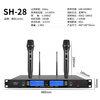 SHILE conference room audio package combination 10-inch stage performance speaker professional event mixer amplifier equipment S62+BM10+Tianqin No. 10+SH28