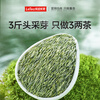 Lepinle tea head picking bud Maojian special grade 2025 new tea green tea Mingqian bud tea gift box 250g for elder leaders