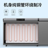 Nixue Freezer Commercial Household Freezer Horizontal Large Capacity Full Freezer Display Cabinet Frozen Refrigerator Large Freezer 1688 Single Temperature Copper Tube-Xingyao Gray Intelligent Temperature Control Expansion Edition Level 1 Energy Consumption