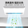 Rockefeller Liangba kitchen special integrated ceiling cooling fan ceiling embedded cooling fan lighting air cooler kitchen air conditioner direct blowing Liangba