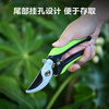 Deli garden scissors, fruit branch shears, garden pruners, branch pliers, household pruning scissors, fruit branch scissors lock design