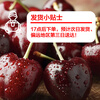 JOYVIO imported cherries from Chile 2J grade 2.5kg gift box, fruit diameter about 28-30mm, shipped directly from the source, free shipping
