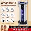 Maierjia Skin Management Comprehensive Instrument Small Bubble Beauty Salon Instrument Special Silver Brown Large Bubble Oxygen Injection Blackhead Bubble Machine Second Generation New Large Bubble Shop Opening Package