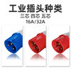 Explosion-proof plug 380v industrial socket aviation docking connector three-phase electricity 34 core 5 holes 16A/32A waterproof not dustproof 4 core 32A plug + connector