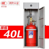 Heptafluoropropane fire extinguishing device cabinet type clean gas automatic fire extinguishing device equipment chemical fire fighting equipment inspection can pass 40L heptafluoropropane cabinet type