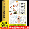 The Yellow Emperor's Internal Classic with Color Pictures and Comics, the original authentic complete collection of the Emperor's Internal Classic in vernacular, the Children's Comic Version of the Four Seasons Health Methods, Traditional Chinese Medicine Health Books, An Introduction to Dietary Therapy for All Diseases, and the Health Wisdom, Traditional Chinese Medicine Introduction Books that are easy to understand at a glance