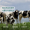 Qixian 4.0g high calcium fresh milk 950g