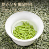 Tianzhouxi Green Tea Xinyang Maojian 250g2025 new tea sprouts spring tea tea gift box for leaders, elders and elderly people